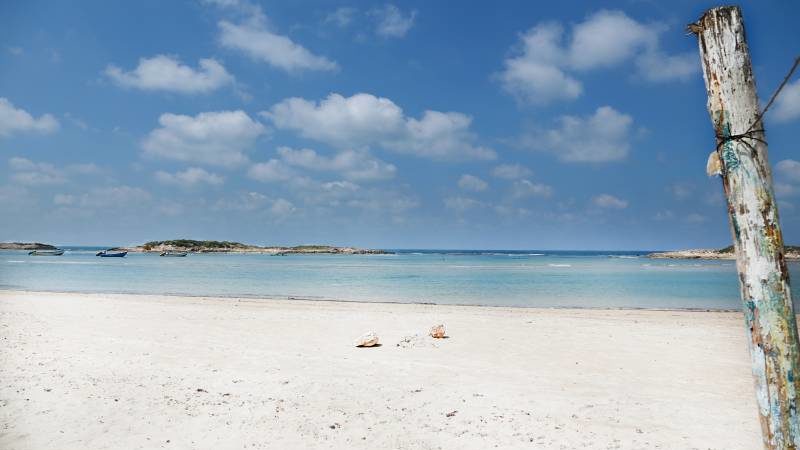 CC0 Bild, Nelly Volkovich